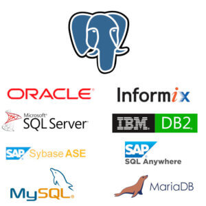 Liste der derzeit unterstützten ausländischen Datenbanken wie Oracle, Informix, Microsoft SQL Server, IBM BD/2, SAP Sybase ASE, SAP SQL Anywhere, MySQL und MariaDB
